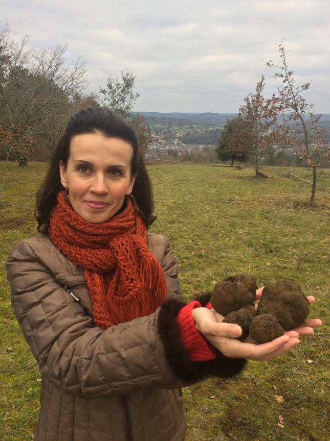 Domaine De Lascaux Acomodação com café da manhã Montignac-Lascaux Exterior foto